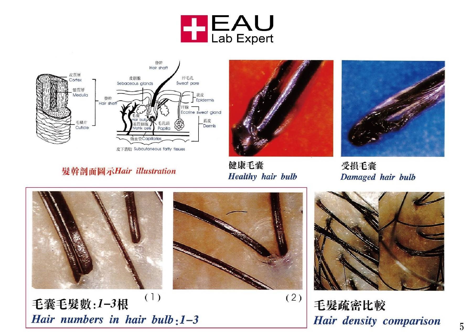 EAU Anti-Dandruff  and Anti-Hair Loss Shampoo 200ml test-hair-corner.myshopify.com COM'COM'STORE